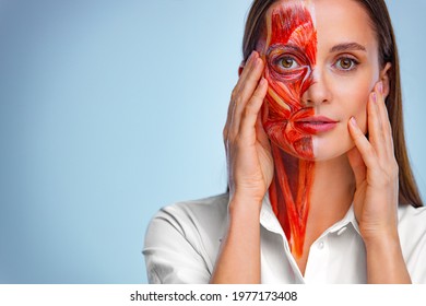 Cosmetology concept. Young woman with half of face with muscles structure under skin. Model for medical training on a light background. Close up portrait of face human anantomy.