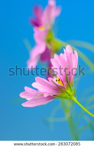 Similar – Image, Stock Photo flowery airfield Runway