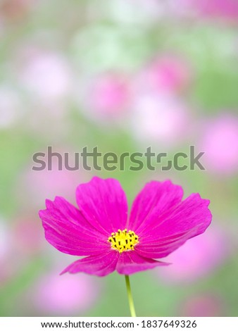 Similar – Image, Stock Photo momentariness Colour photo