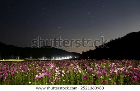 In the cosmos illuminated by starlight