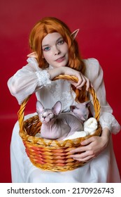 Cosplayer elf young redhead woman smiles, leaning on brown basket in which two cute Sphinx kittens are sitting calmly. Elf in white dress, with long curly hair, expressive look sits on red background.