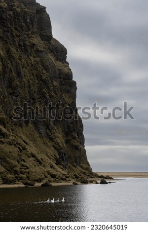 Cost in the south of Iceland. Dramatic cliffs of the dark basalt. Calm Atlantic ocean. Cloudy sky in the autumn. Reynisfjara beach, Vik, Iceland.