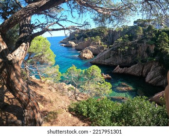 Costa Dorada - Spain - Nature