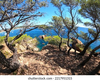 Costa Dorada - Spain - Nature