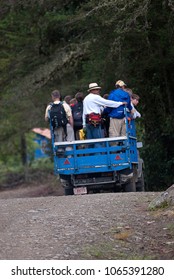 Costa Rica, June 25, 2007 Tourists Traveling In A Truck Through The Jungle Of Costa Rica To See Birds In The Region, With Guides Specialized In Bird Watching