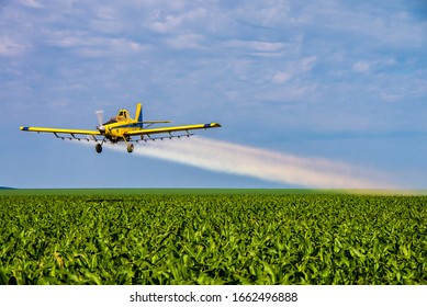 Costa Rica, Mato Grosso do Sul, Brazil, January 5, 2019: aerial image of an airplane or aerial applicator, flying low and spraying agricultural chemicals, over soybean fields with blue sky - Agribusin
