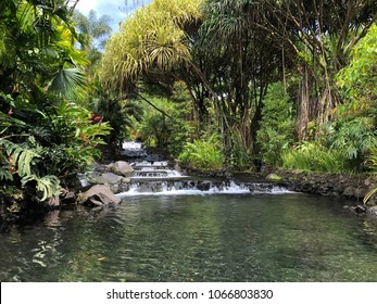 Costa Rica Tabacon Hot Springs River At Arenal Volcano