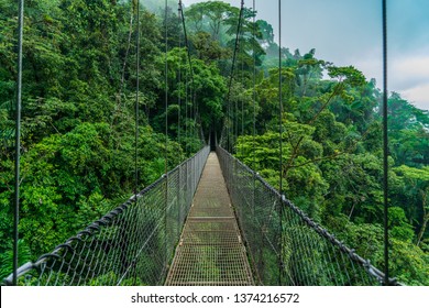 Costa Rica Volcano Arenal Hanging Bridge