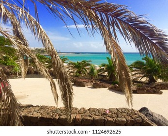 Costa Teguise, Lanzarote Leafy Seaview