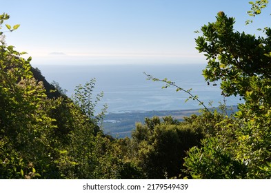 Costa Verde Coast In Eastern Plain Of Corsica