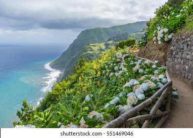 Costal path with Hydrangeas, Sao Miguel, Azores, Portugal