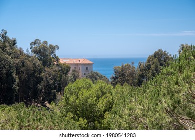 Costal Views For The Getty Villa In LA