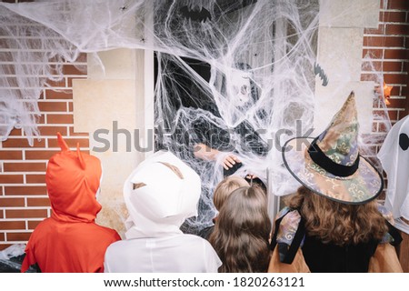Costumed kids trick-or-treating on halloween behind a web