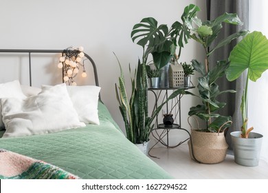 Cosy Light Bedroom With Tropical Flowers Decoration. Urban Jungle Interior