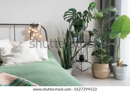 cosy light bedroom with tropical flowers decoration. urban jungle interior