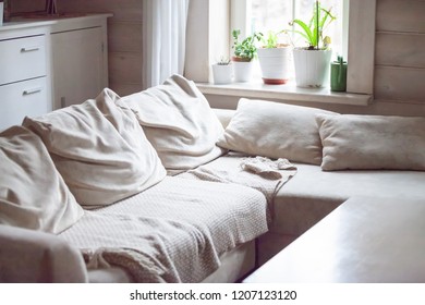 Cosy Modern Comfortable Living Sitting Room Interior, Rumpled Cushions And Plaid On Couch Wooden Walls Flower Pots On Windowsill Daylight Sunlight Through The Window, Nobody. Comfy Furniture No People