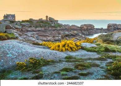 Cote De Granit Rose, Brittany, France