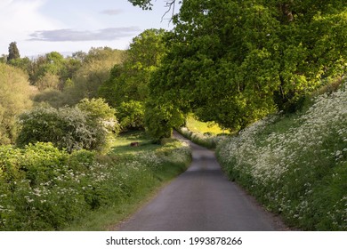 Cotswold lane in spring near Stow-on-the-Wold, England.