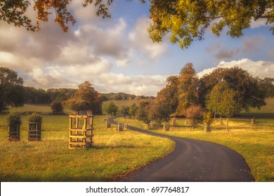 The Cotswolds In Autumn
An Autumn Afternoon In The UK