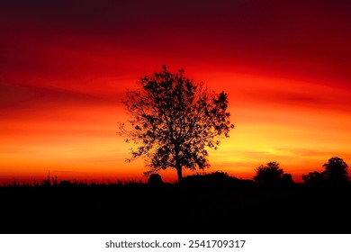 Cotswolds Gloucestershire  Uk
isolated tree against a dramatic sunrise sky - Powered by Shutterstock