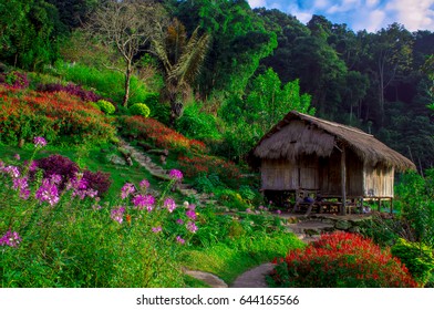 cottage