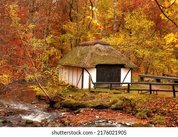 A cottage in the countryside in autumn landscape beside a river in Europe. Peaceful and quiet nature scene of rustic barn or boathouse near calm water and changing season of red and yellow leaves