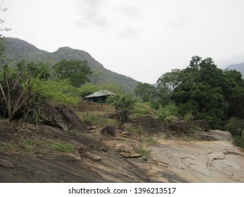 A Cottage In The Forest, Chinnar Wildlife Sanctuary 