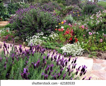 Cottage Garden 1