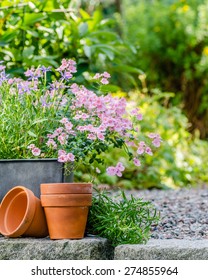 Cottage Garden - Beautiful Flowers In Pots