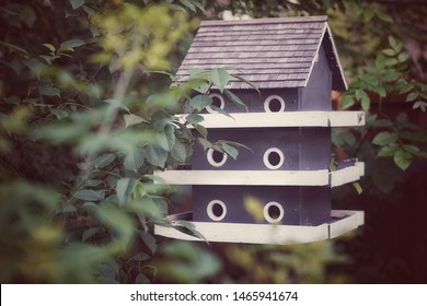 Imagenes Fotos De Stock Y Vectores Sobre Cottage Backyard