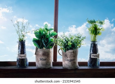 Cottage Window With Four Herbs, Oregano, Mint, Thyme And Parsley, In Vintage Style Pots, No People