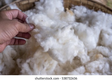 15,901 Vintage cotton field Images, Stock Photos & Vectors | Shutterstock