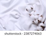 Cotton branch with fluffy flowers on white fabric, top view. Space for text