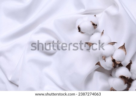 Cotton branch with fluffy flowers on white fabric, top view. Space for text
