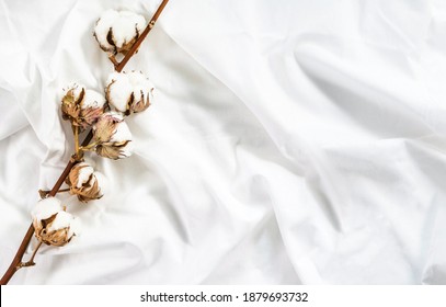 Cotton branch of plant flower on crumpled cotton white fabric. Cotton bed linen. Minimalistic cozy light background. - Shutterstock ID 1879693732