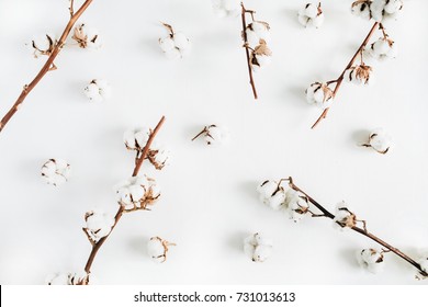 Cotton branches set on white background. Flat lay, top view. Cotton minimal pattern.