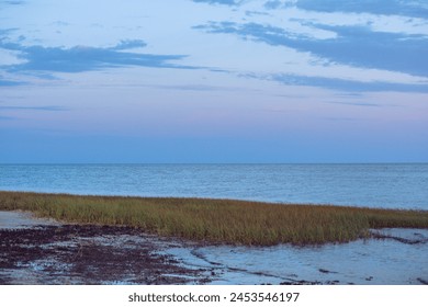 The cotton candy sky at the beach at sunset in Florida. - Powered by Shutterstock