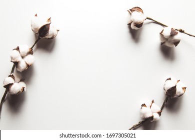 コットンフラワー の画像 写真素材 ベクター画像 Shutterstock