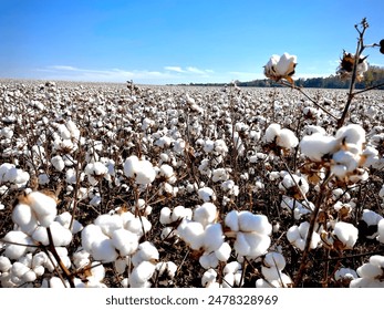 Cotton fluffy farm cloths soft