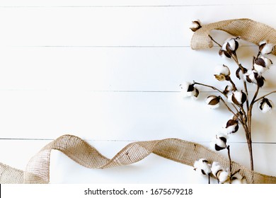 Cotton On Shiplap Background Fall