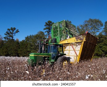 Cotton Picker Dumping