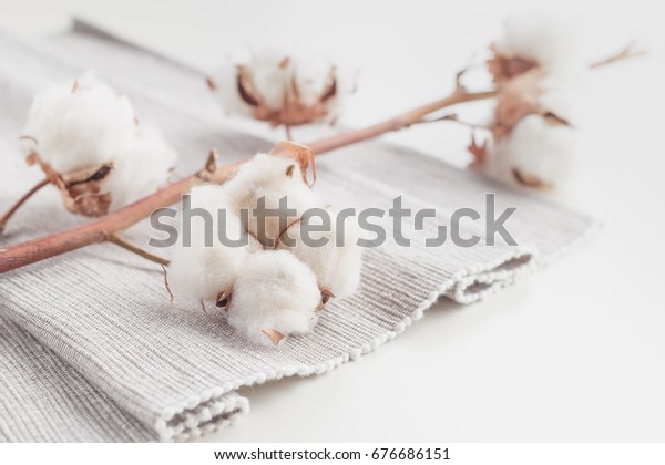 Cotton Plant Flower Branch Grey Fabric Stock Photo (Edit Now) 676686151