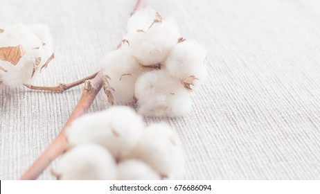 Cotton Plant Flower Branch On Grey Fabric Surface