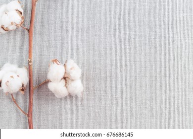 Cotton Plant Flower Branch On Grey Fabric Surface. Textile Background With Border