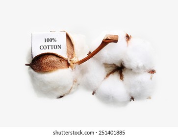 6,253 Organic cotton label Images, Stock Photos & Vectors | Shutterstock