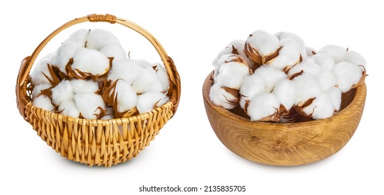 Cotton Plant Flower In A Wicker Basket Isolated On White Background With Clipping Path And Full Depth Of Field