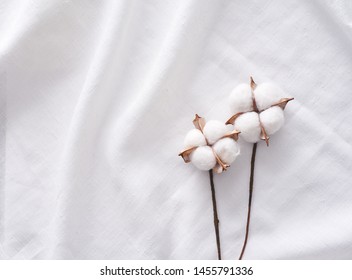 Cotton Plant On A White Cloth.