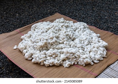 Cotton Raw, Cotton Plant Close-up, Natural Cotton.In Rolls. Brown Cotton Fibers.Natural Fibers.