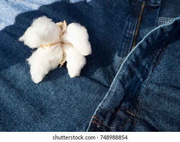ball made jeans