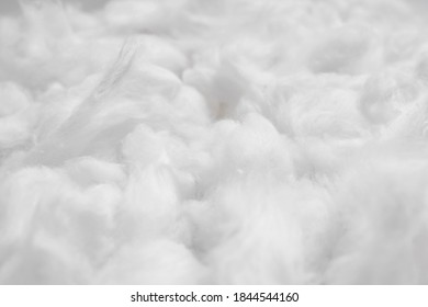 Cotton Soft Fiber Texture Background, White Fluffy Natural Material